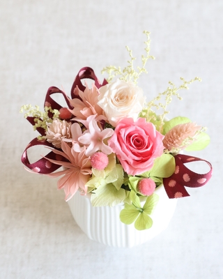 Petit Tulipe ｰプティ チューリップ-