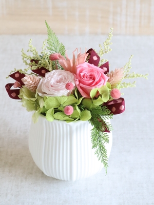 Tulipe -チューリップ-