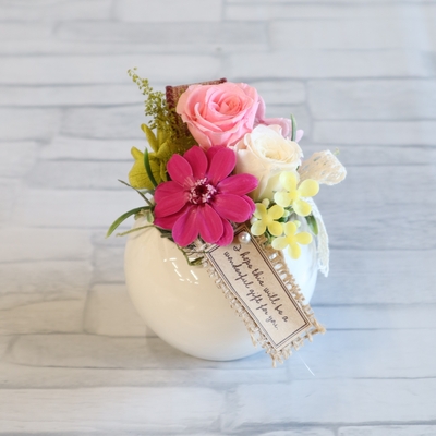 Petit Macaron -プティ マカロン-