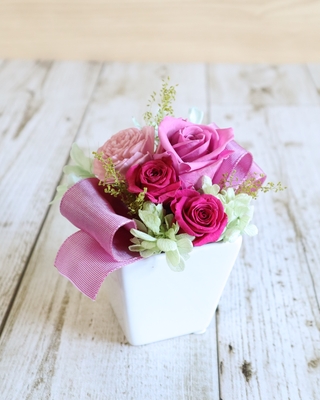 Petit Charmeur -プティ シャルムール-