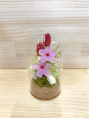 Bonheur Sakura ～ボヌール サクラ～