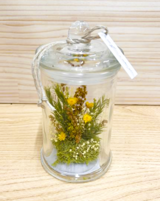 Canister Mimo ～キャニスター ミモ～