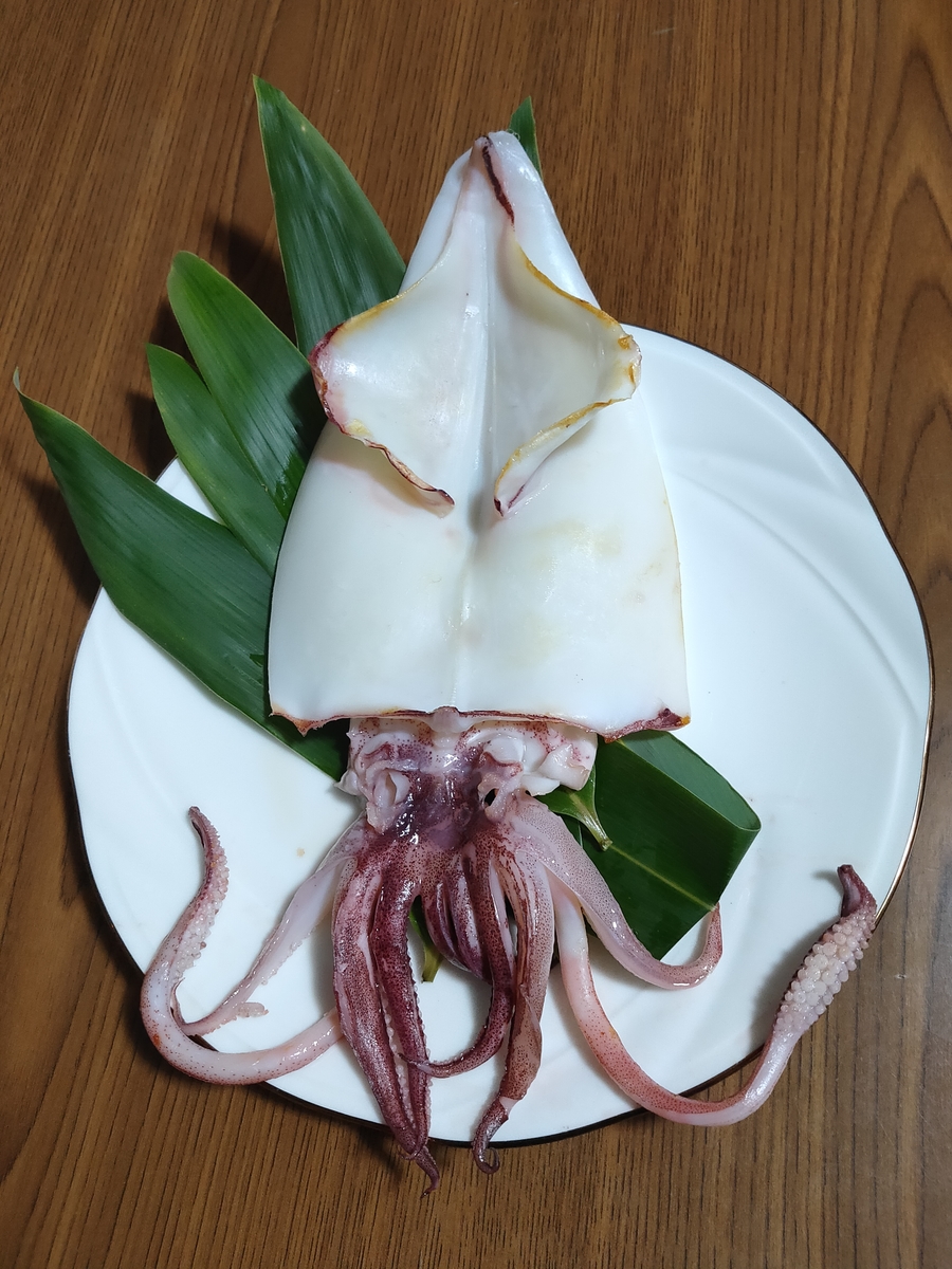 赤イカ 一夜干 よっちゃーれセンター