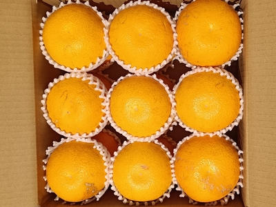 はっさく(農薬不使用)