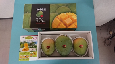 沖縄キーツマンゴー 秀品 約2kg