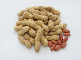 中国産 落花生 450g ネコサポ 買物サポートサービス