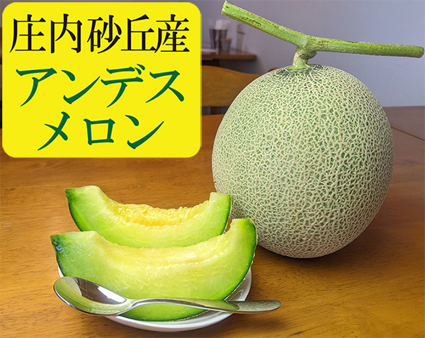 庄内砂丘産 アンデスメロン 2玉入り（3L） | 田和楽ネットショップ