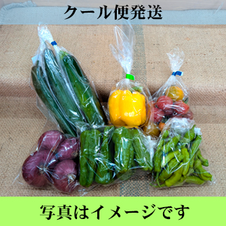 やさいセット　羽黒山セット　(クール便料金330円含む）