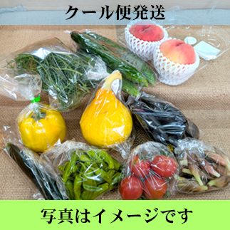 やさいセット　湯殿山セット　(クール便料金440円含む）