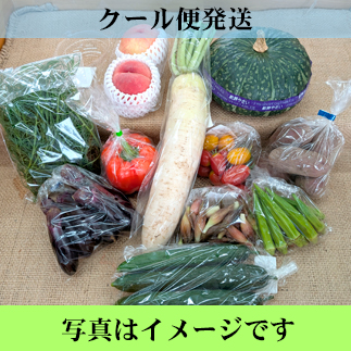 やさいセット　月山セット　(クール便料金715円含む）