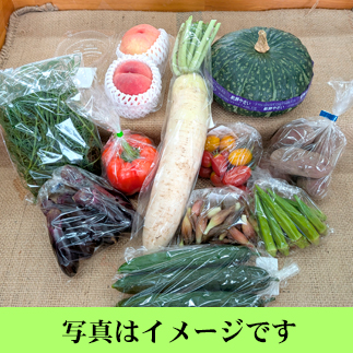 やさいセット　月山セット（常温発送・お米と同梱可）