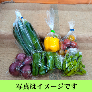 やさいセット　羽黒山セット（常温発送・お米と同梱可）