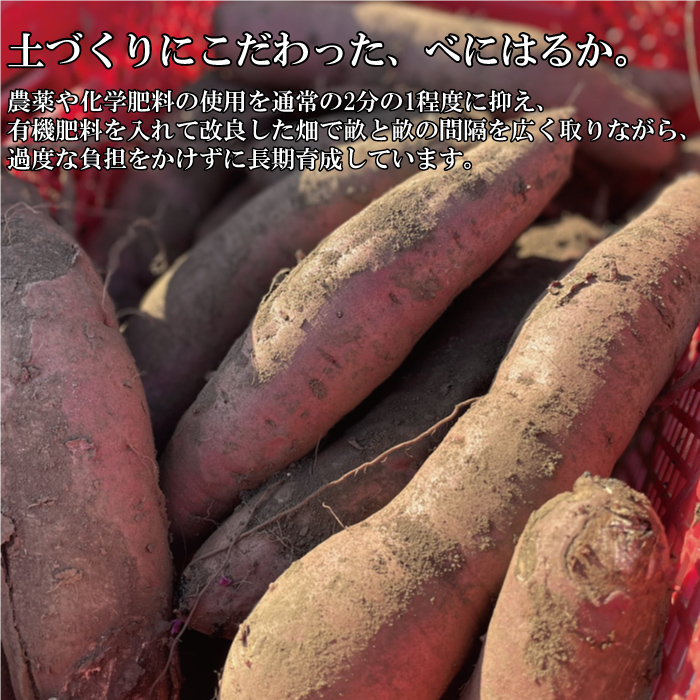 ★56☆​【1kg・超大特価】熟成平干し クロサワファーム | 甘くてねっとり】べにはるか平干し1kg袋×1 1kg×4セット（正規品） その他 加工食品