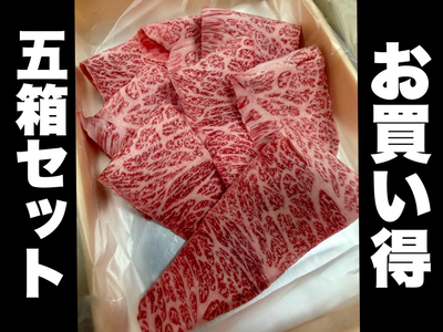 ★超お買い得５箱セット★黒毛和牛A5ザブトン焼肉(120g&times;5箱＝600ｇ) ／ 高級部位ザブトンを食べやすい焼肉用にカットしました。少量サイズでのご販売です！この夏のBBQ用などにぜひ！！！