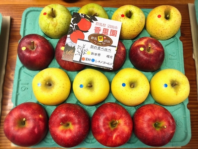 自家用（優品）　詰め合わせ　5kg