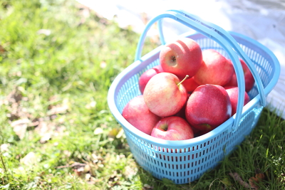 家庭用ふじ　3kg