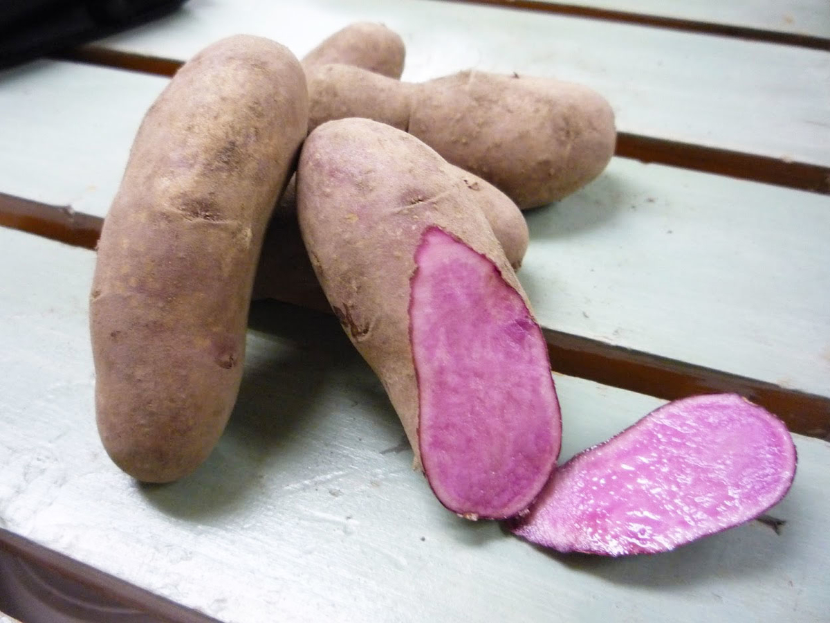 送料込 北海道産3種類のスペシャルじゃがいもセット 3種 3kg 北海道フーディストｅｃ