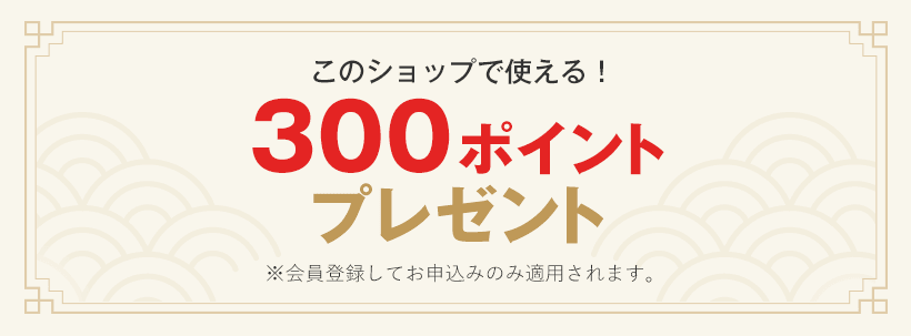 300ポイントプレゼント