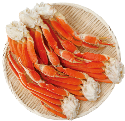 ボイルずわい蟹 脚【ギフト送料一律】 | 北海道フーディストEC
