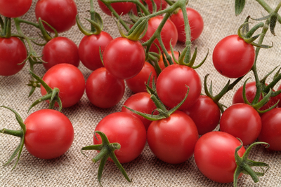 ミニトマトジュース 10本セット【ギフト送料一律】 | 北海道