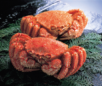 北海道産オオズワイ蟹甲羅盛り【ギフト送料一律】 | 北海道