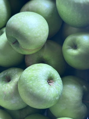 グラニースミス●２kg●８個前後入り