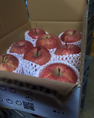 ふじ●gift●２kg●８個前後入り