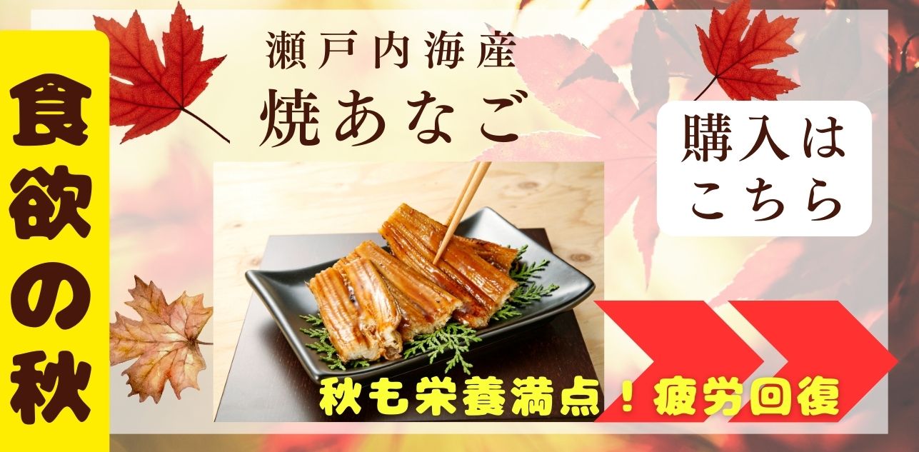 瀬戸内海産　焼あなご
