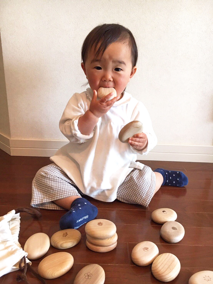 まあるいつみきmini 16個（16樹種）ｾｯﾄ | MEIHO．SHOP