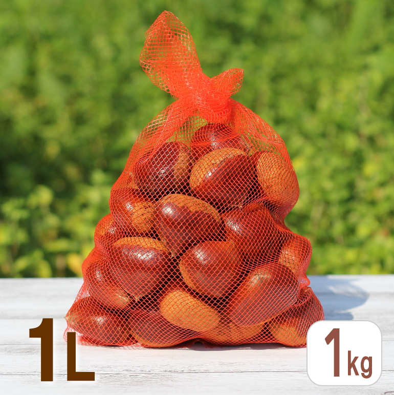 すき生栗1kg （1Lサイズ）宮崎県小林市須木産特選品 | みのり農園
