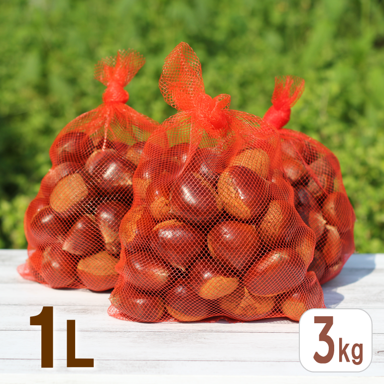 すき生栗3kg (1Lサイズ)小林市須木産特選品 | みのり農園