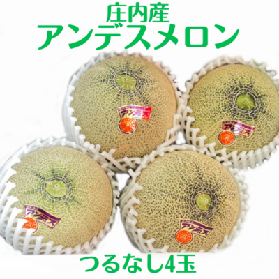 特選アンデスメロン つる付4玉 化粧箱入【期間限定・日付指定