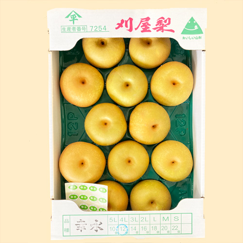 期間限定・同梱不可】山形県庄内産 刈屋の梨 幸水 12～14玉(約5kg