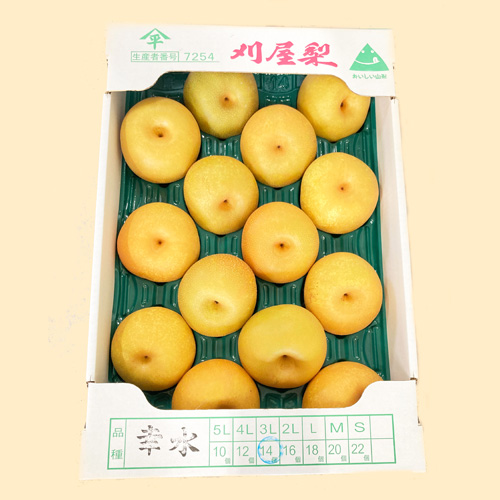 期間限定・同梱不可】山形県庄内産 刈屋の梨 幸水 12～14玉(約5kg