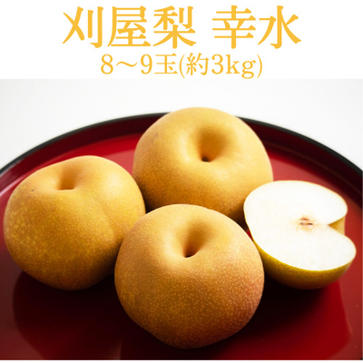 【期間限定・同梱不可】山形県庄内産　刈屋の梨　幸水　8～9玉(約3kg)