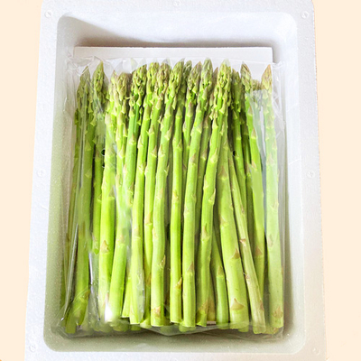 庄内産アスパラガス L 1kg【日付指定・同梱不可】 | 庄内なんでも屋