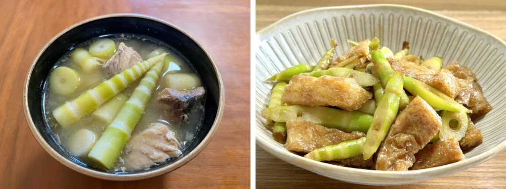 5月中旬出荷】月山筍 Mサイズ 1kg【日付指定・同梱不可】 | 庄内