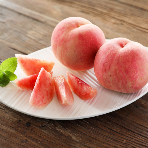 モモタマナ　沖縄県産　無農薬花が咲きました5年育成　屋内様に改良 モモタマナ 沖縄県産 無農薬花が咲きました5年育成 屋内様に改良