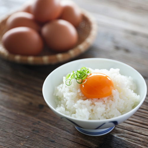 庄内町産 スズキの地養卵 50個入【同梱不可】 | 庄内なんでも屋