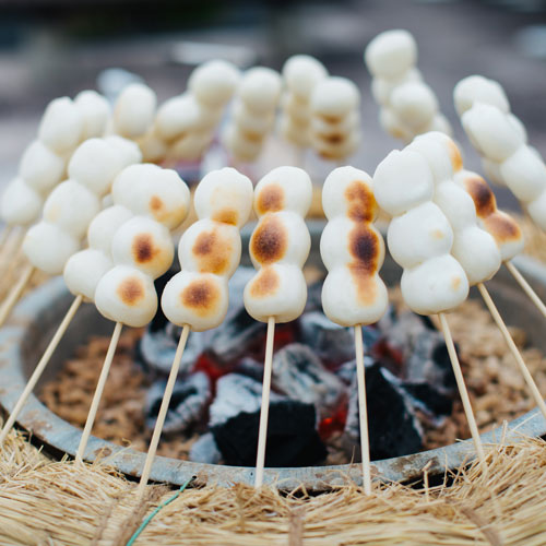 山形庄内かめこめプロジェクト つや姫だんご 個包装 | 庄内なんでも屋