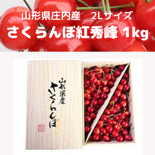 イルカ 紅秀峰 1kg さくらんぼ 佐藤錦 or 紅秀峰 1kg (500g×2) 特秀品