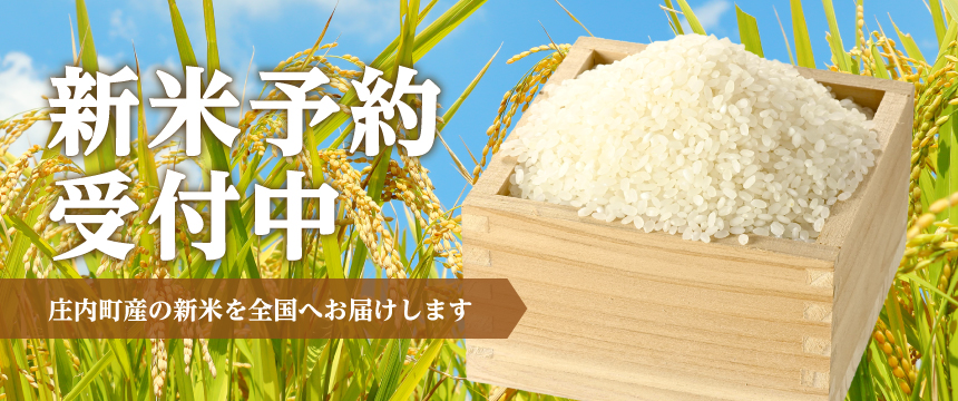 新米受付