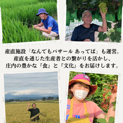 大渡会ファーム 令和7年産 特別栽培米つや姫 5kg｜庄内なんでも屋