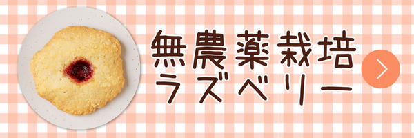 庄内米粉クッキー　無農薬栽培ラズベリー　4枚入