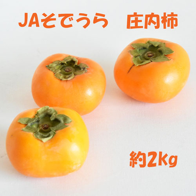 庄内柿　すぐ食べられる　平核無柿　種無し　箱込み10kg 現品限り‼️ 期間限定】JAそでうら 庄内柿（平核無柿）L～2L／24～28玉（約4キロ