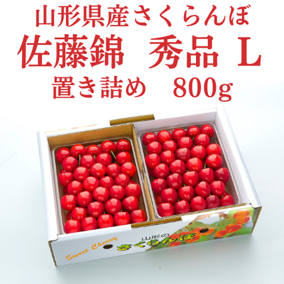 【日付指定不可】山形県産さくらんぼ 佐藤錦 秀品Lサイズ800g 置き詰め