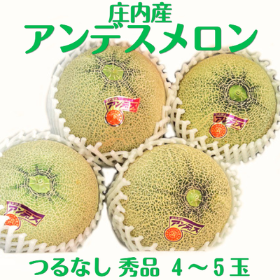 庄内産アンデスメロン　4～5玉　つるなし