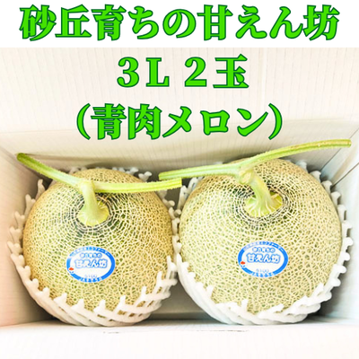 砂丘育ちの甘えん坊(青肉メロン)　つる付2玉　化粧箱入【期間限定・日付指定不可】