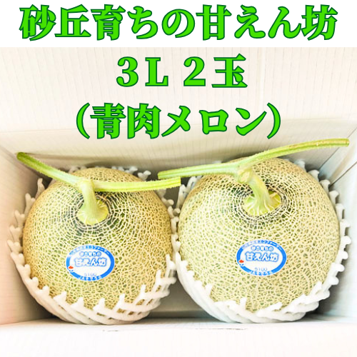 庄内砂丘の甘えん坊(青肉メロン)｜庄内なんでも屋 | 庄内なんでも屋