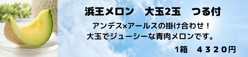 浜王メロン